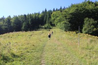 /album/fotogaleria-stoh/img-1236-jpg/