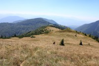 /album/fotogaleria-stoh/img-1349-jpg/