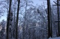 /album/fotogaleria-mix-roznych-fotiek/img-7277-jpg/
